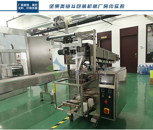 自動(dòng)下料鏈斗式包裝機(jī)整機(jī)展示